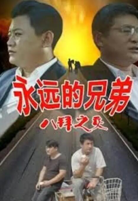 浙江卫视免费回放