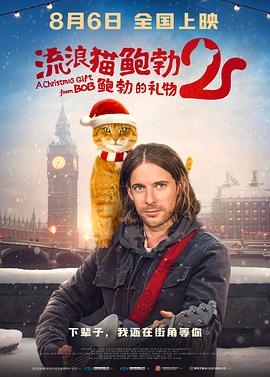 另类视频在线