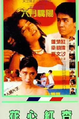 最近高清中文字幕mv
