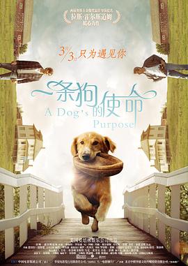 欧美色图在线视频