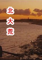 5g探花