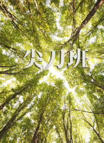 三级小说hnp