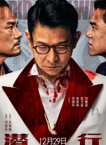 午夜美女久久久久爽久久